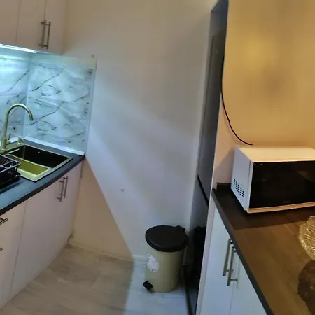 Aleksandar * Belgrade