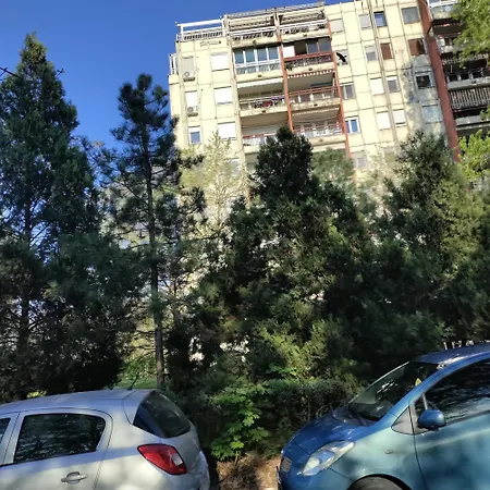 Aleksandar *